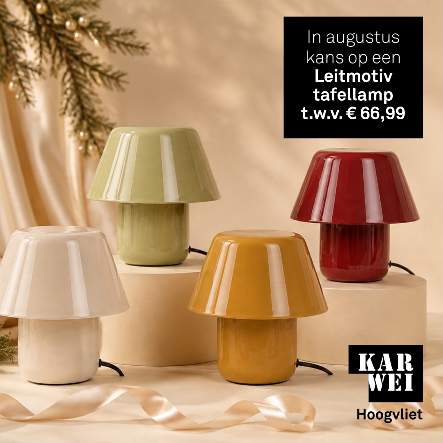 Open haard hout - lokale_actie_pop-up1